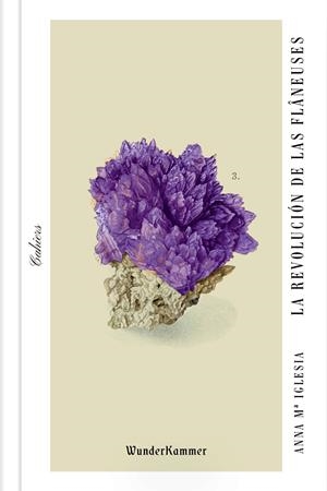 La revolución de las flâneuses | 9788494972539 | Iglesia Pagnotta, Anna Mª