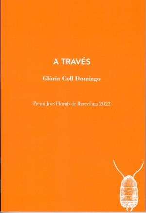 A TRAVÉS | 9788412457599 | Coll Domingo, Glòria