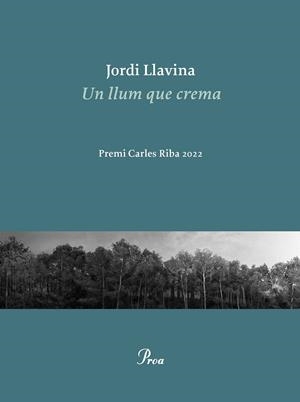 Un llum que crema | 9788475889979 | Llavina, Jordi