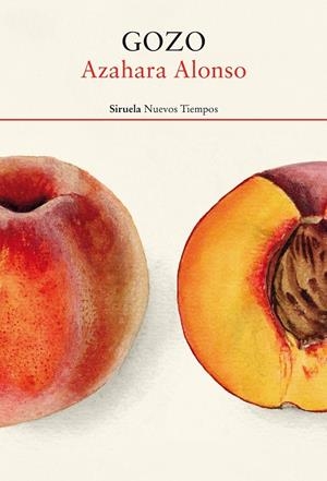 Gozo | 9788419419798 | Alonso, Azahara