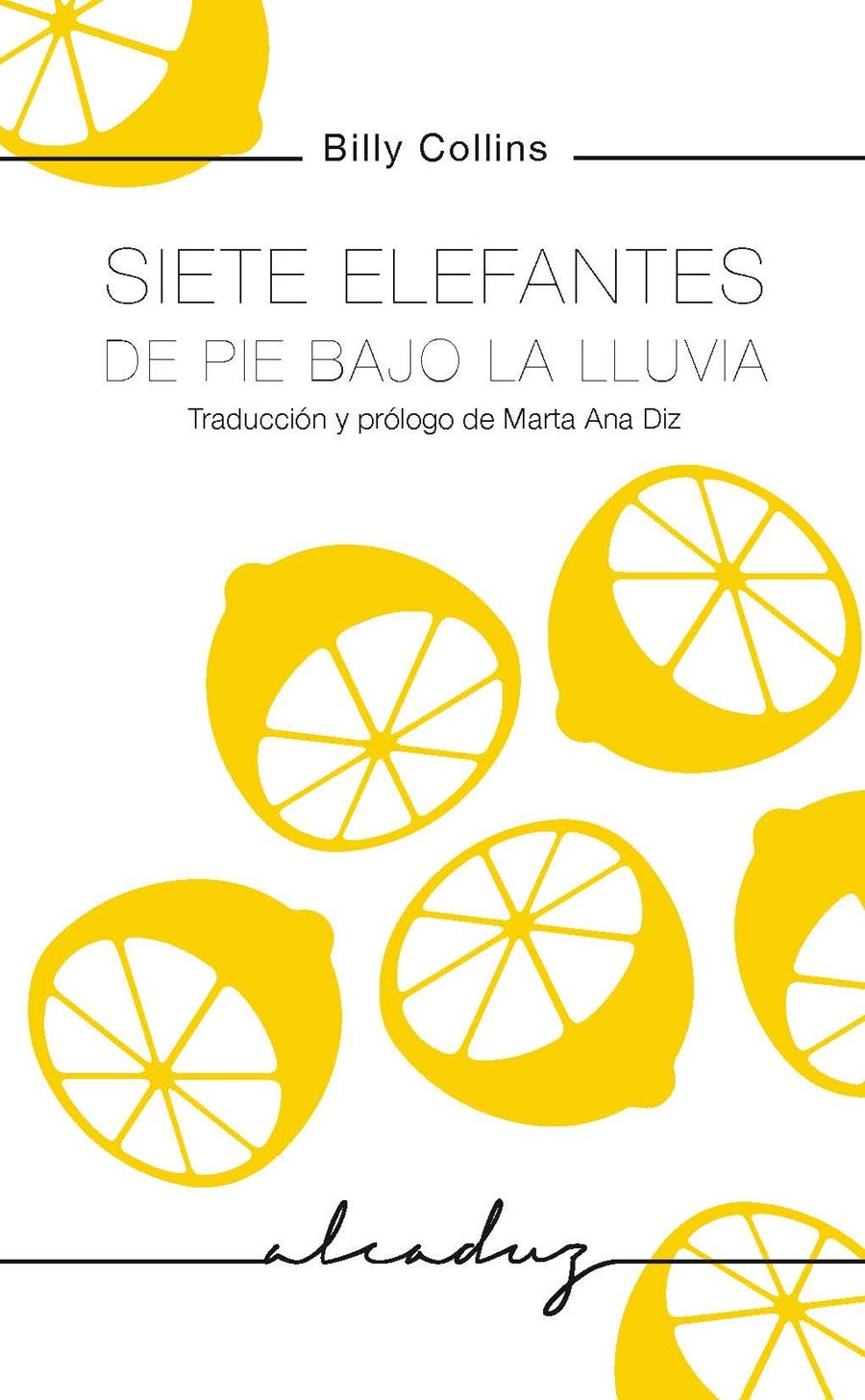 Siete elefantes de pie bajo la lluvia | 9788494943225 | Collins, Billy