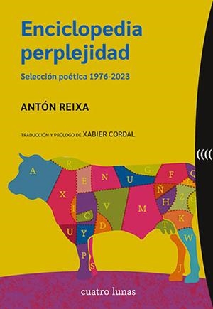 Enciclopedia perplejidad | 9788412707601 | Reixa, Antón