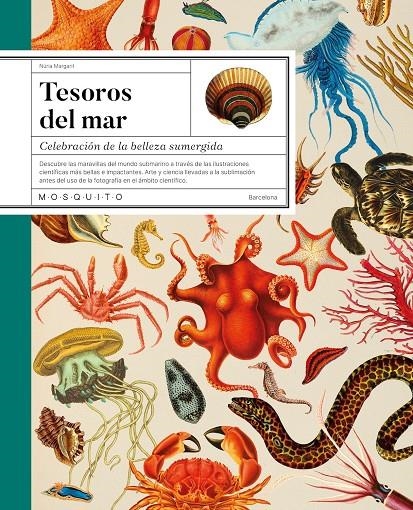 Tesoros del mar | 9788419095749 | Margarit, Núria