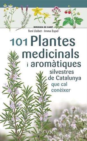 101 Plantes medicinals i aromàtiques silvestres de Catalunya | 9788413562209 | Espel, Imma/Llobet François, Toni
