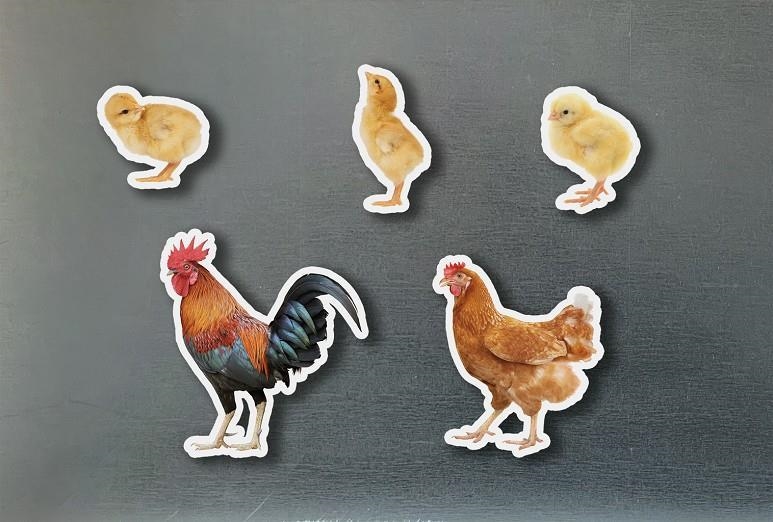 MAGNETICOS FAMILIAS GALLINAS | 0760412890964