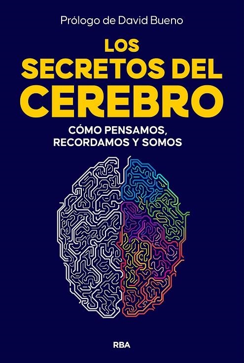 Los secretos del cerebro | 9788410981249