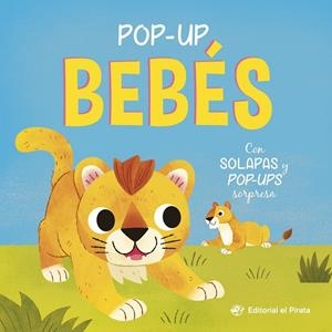 Pop-up bebés - Con solapas y pop-ups sorpresa | 9788419898968 | Blake, Carly