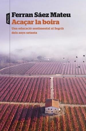 Acaçar la boira | 9788498095203 | Sáez Mateu, Ferran